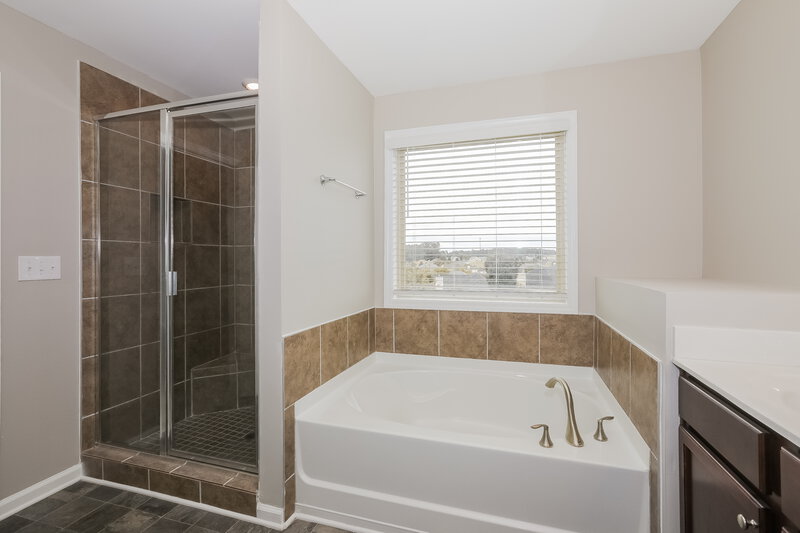 2,405/Mo, 3396 Baylor Cir McDonough, GA 30253 Main Bathroom View 2