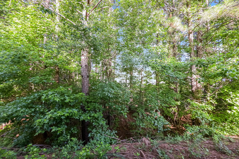 2,590/Mo, 6755 Hill Rock Ln Fairburn, GA 30213 Backyard View