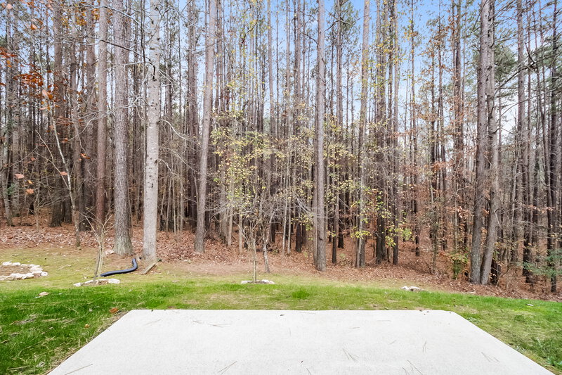 1,830/Mo, 205 Westridge Cir Dallas, GA 30132 Rear View 2