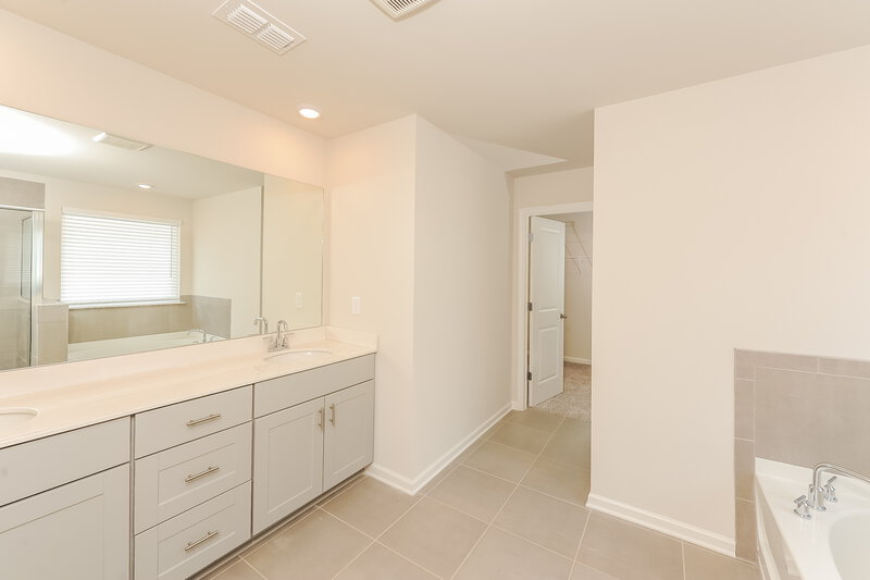 2,435/Mo, 5828 Hackberry Lane Braselton, GA 30517 Main Bathroom View 2