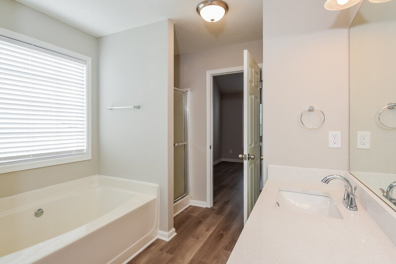 1,855/Mo, 6592 Lake Mill Trce Lithonia, GA 30038 Main Bathroom View