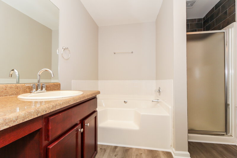 2,255/Mo, 11562 Registry Blvd Hampton, GA 30228 Main Bathroom View 2