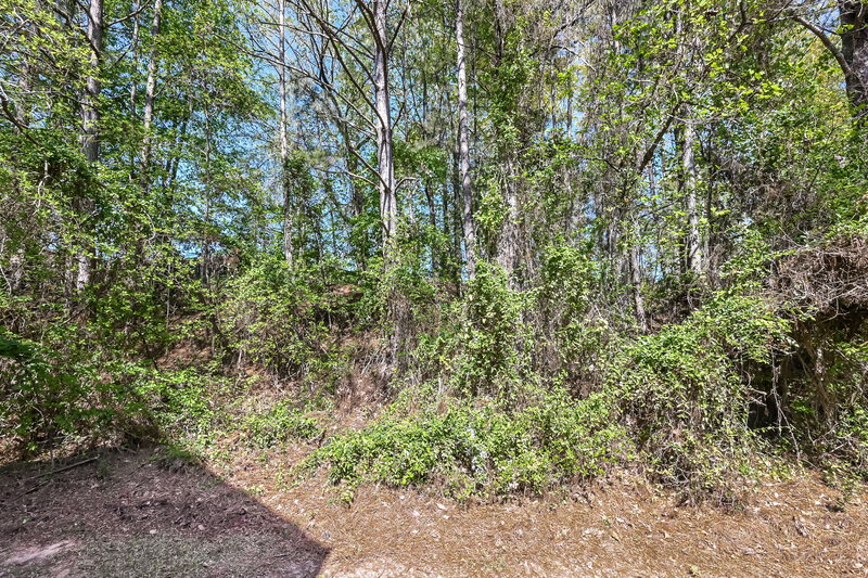 2,275/Mo, 335 Shadetree Ln Lawrenceville, GA 30044 Rear View 2