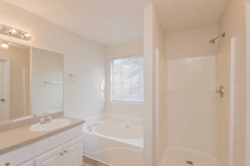 2,630/Mo, 40 Stallsworth Rd McDonough, GA 30252 Main Bathroom View
