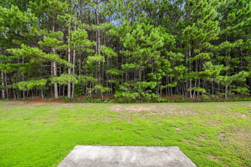 2,000/Mo, 216 Brightondale Blvd Dallas, GA 30132 Rear View