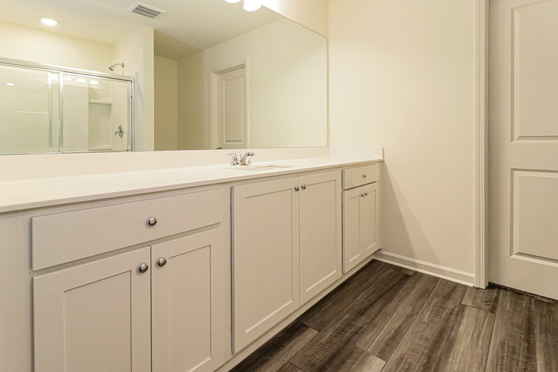 1,960/Mo, 103 Bentwater Way Hoschton, GA 30548 Main Bathroom View 2