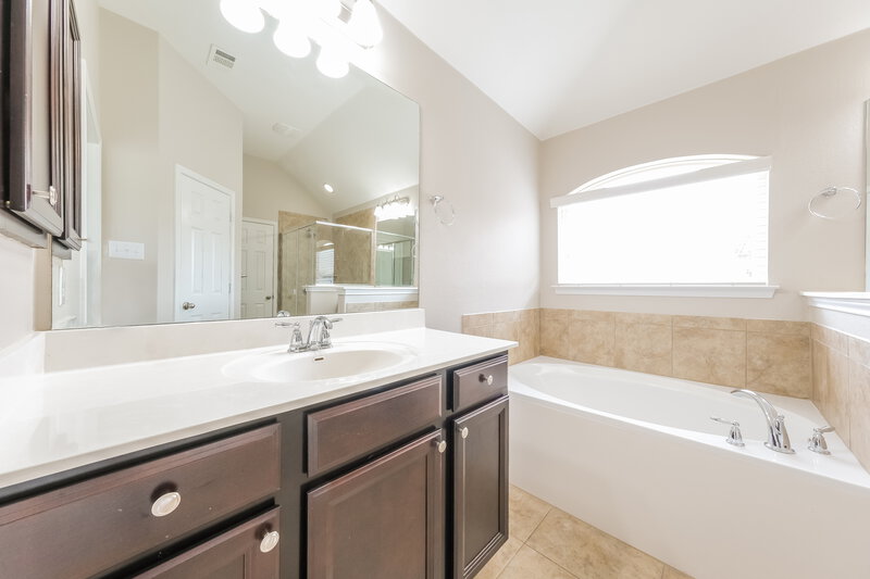 2,230/Mo, 8201 Angelo Loop Round Rock, TX 78665 Main Bathroom View