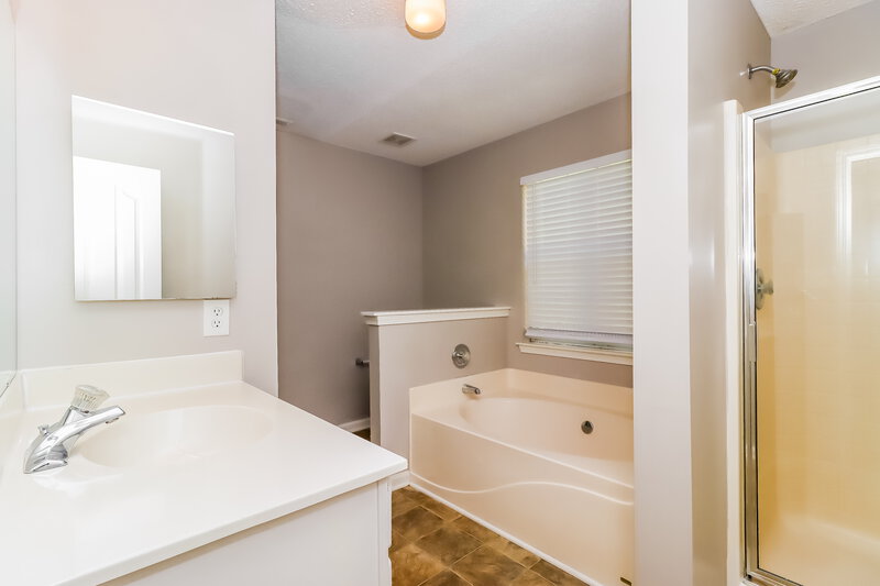 1,675/Mo, 8626 Galena View Dr Charlotte, NC 28269 Main Bathroom View