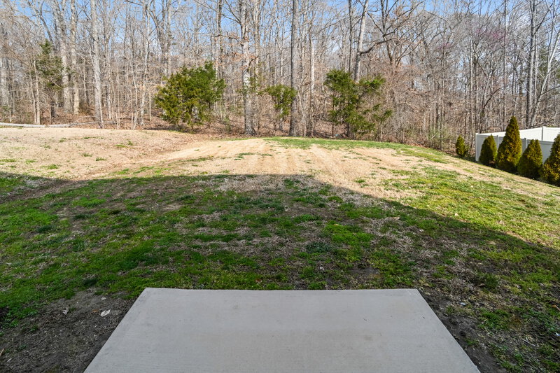 2,080/Mo, 9206 Avery Meadows Dr Charlotte, NC 28216 Backyard View