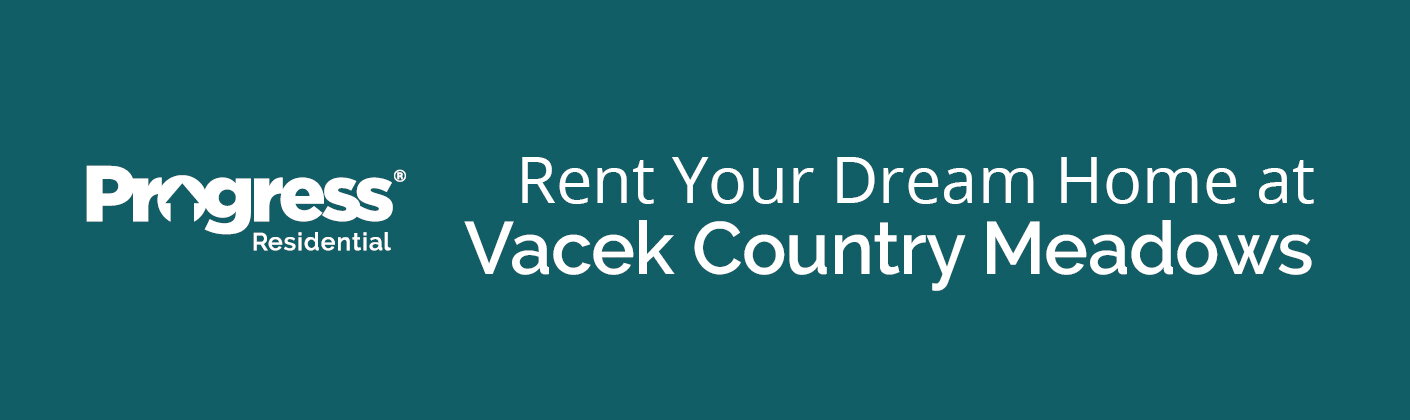 Vacek Country Meadows, 10714 Gossypium Ct, Richmond, TX, 77469