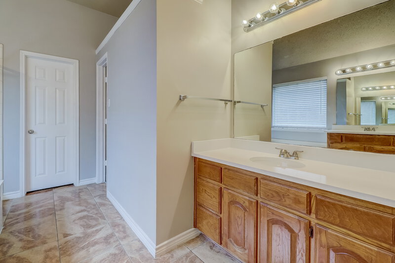2,775/Mo, 1629 Laurel Springs Ct Desoto, TX 75115 Main Bathroom View