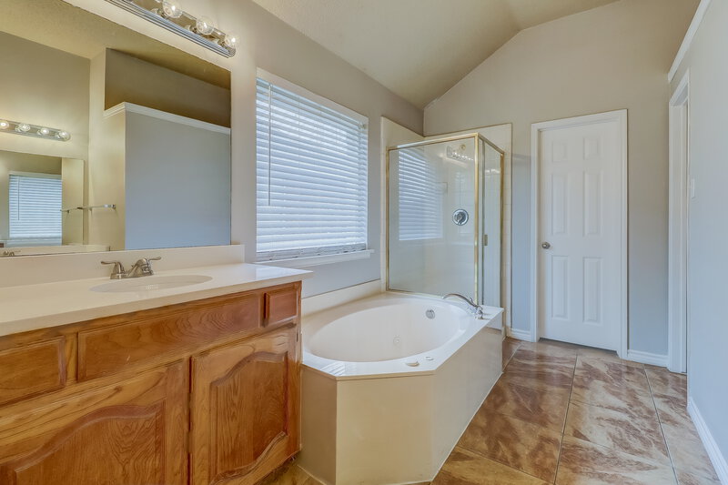 2,775/Mo, 1629 Laurel Springs Ct Desoto, TX 75115 Main Bathroom View 2
