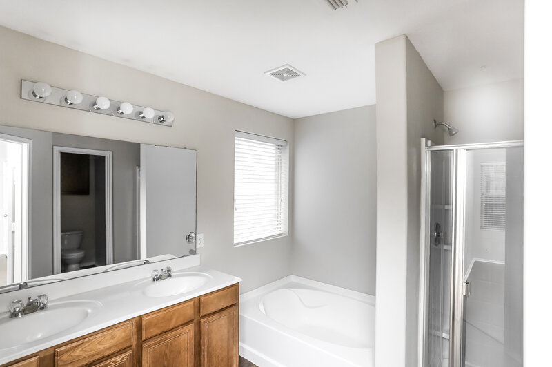 1,900/Mo, 516 Cleveland Dr Lavon, TX 75166 Main Bathroom View