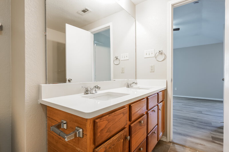 2,095/Mo, 1009 Neptune Ct Cedar Hill, TX 75104 Main Bathroom View 2