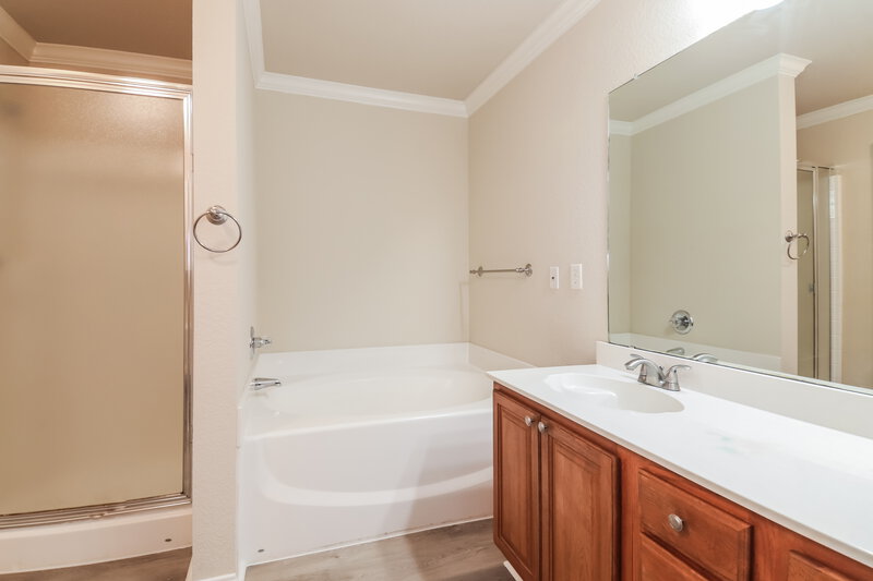 3,750/Mo, 1406 Fox Glen Trl Mansfield, TX 76063 Main Bathroom View