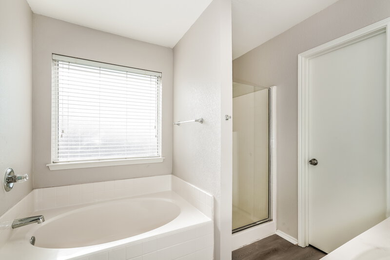 2,690/Mo, 1621 Millbrook Dr Midlothian, TX 76065 Main Bathroom View