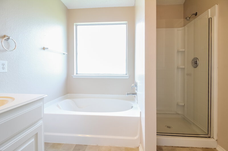 2,265/Mo, 2009 Natchez Dr Forney, TX 75126 Master Bathroom View