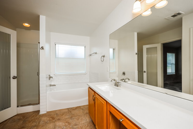2,480/Mo, 1209 Mockingbird Ln Desoto, TX 75115 Main Bathroom View