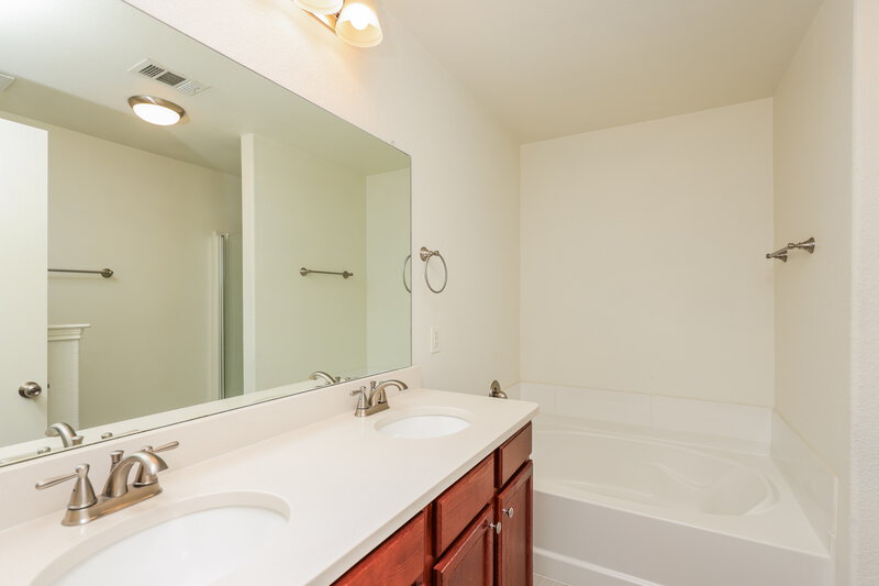 2,095/Mo, 2021 Bentwood Dr Glenn Heights, TX 75154 Main Bathroom View