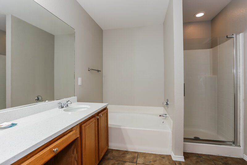 2,495/Mo, 828 Thorton Dr Cedar Hill, TX 75104 Main Bathroom View