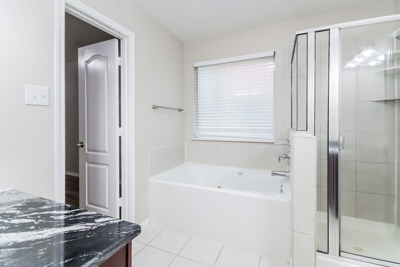 2,405/Mo, 119 Chamblin Dr Cedar Hill, TX 75104 Main Bathroom View 2