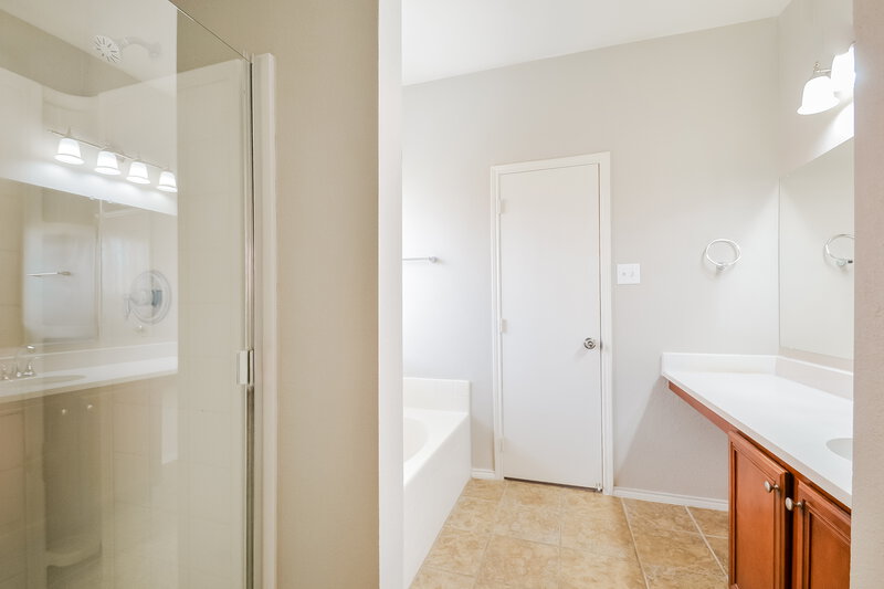 2,395/Mo, 2025 Hanakoa Falls Dr Anna, TX 75409 Main Bathroom View