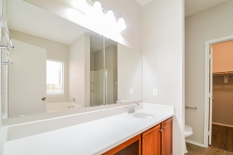 2,395/Mo, 2025 Hanakoa Falls Dr Anna, TX 75409 Main Bathroom View 2