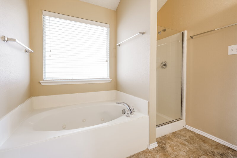 2,335/Mo, 705 Pine Hollow Dr DeSoto, TX 75115 Main Bathroom View 2