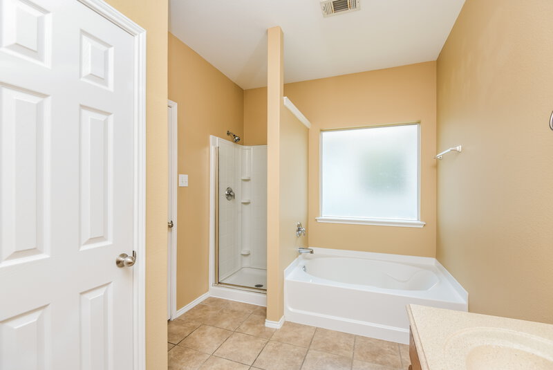 2,065/Mo, 12309 Hunters Crossing Ln Burleson, TX 76028 Main Bathroom View 2