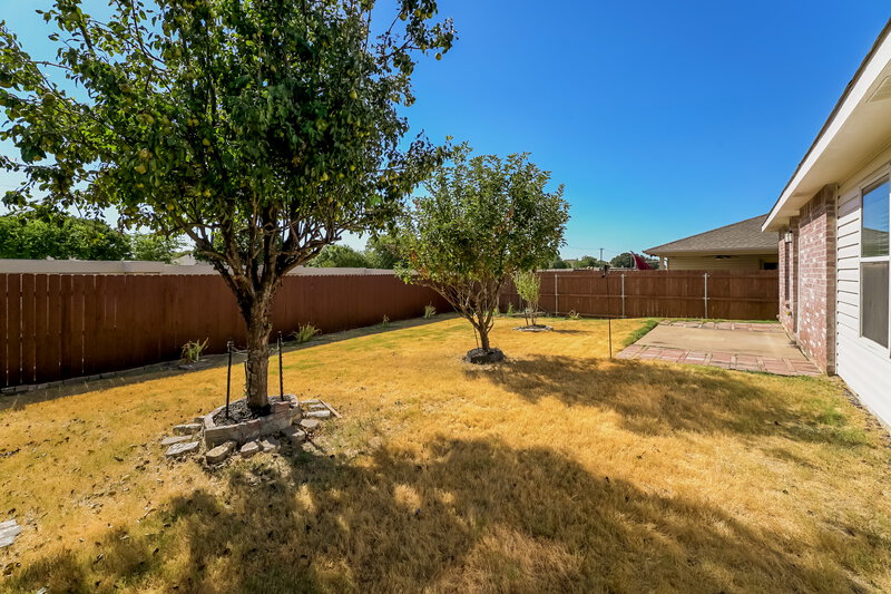 2,195/Mo, 6521 Longleaf Ln Denton, TX 76210 Rear View 2