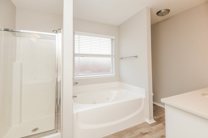 2,300/Mo, 7107 Harris Meadows Dr Arlington, TX 76002 Main Bathroom View 2