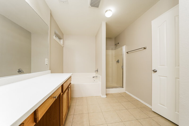 2,625/Mo, 1232 Goldeneye Aubrey, TX 76227 Main Bathroom View