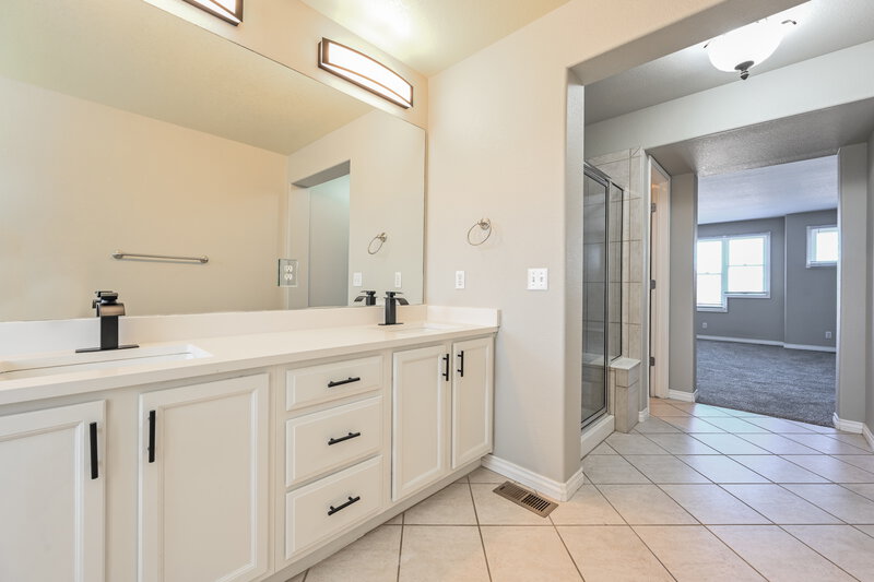 3,905/Mo, 4376 Foxberry Dr Castle Rock, CO 80109 Main Bathroom View