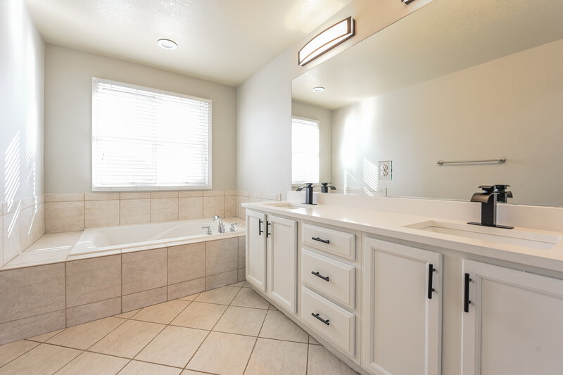 3,905/Mo, 4376 Foxberry Dr Castle Rock, CO 80109 Main Bathroom View 2