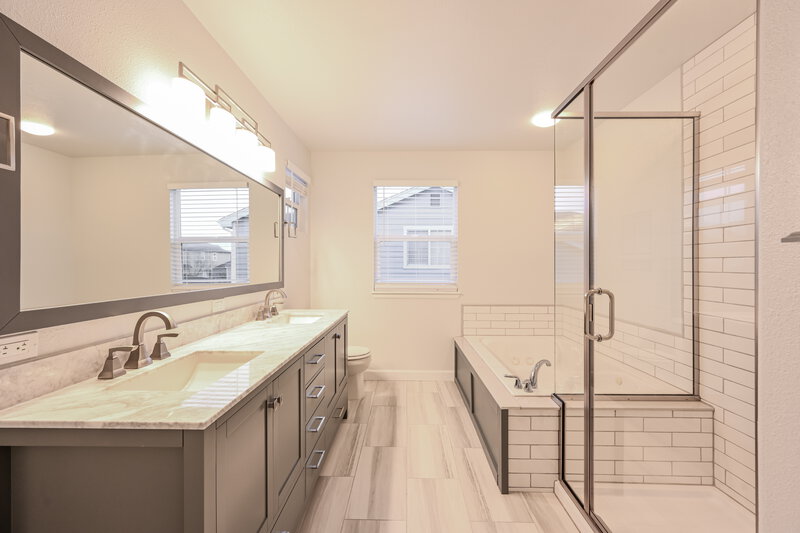 3,645/Mo, 11660 Snowcreek Ln Parker, CO 80138 Main Bathroom View