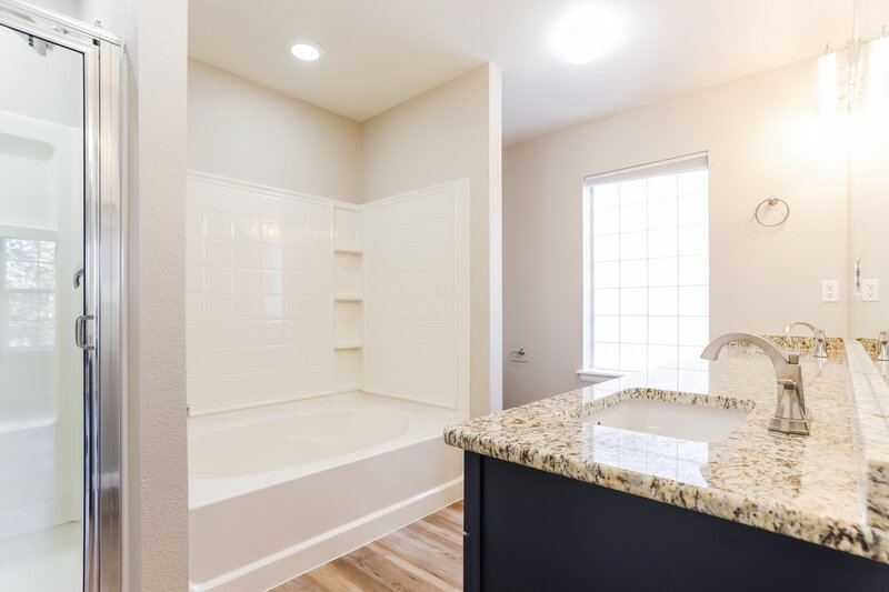 2,950/Mo, 3565 Dinosaur St Castle Rock, CO 80109 Main Bathroom View