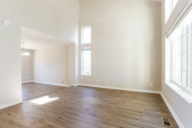 3,115/Mo, 196 Hampstead Ave Castle Rock, CO 80104 Living Room View