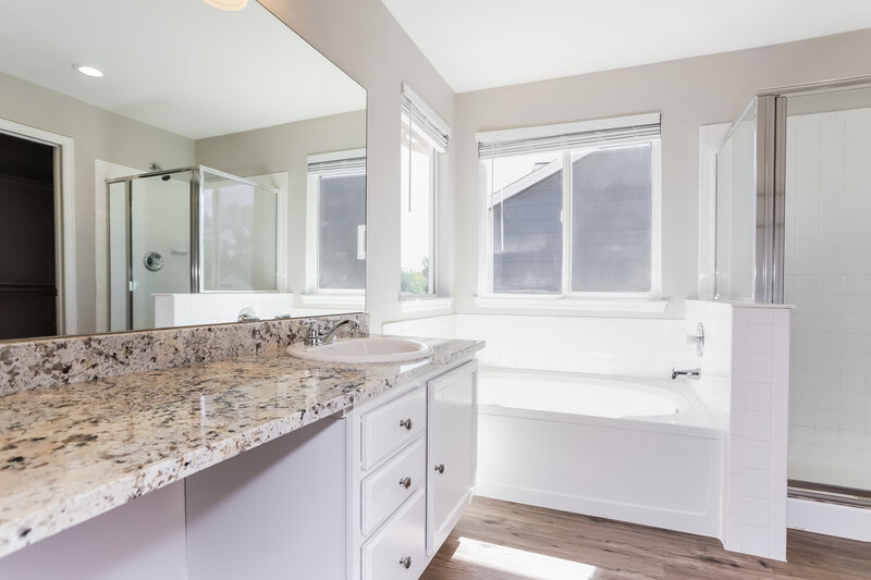 3,115/Mo, 196 Hampstead Ave Castle Rock, CO 80104 Main Bathroom View