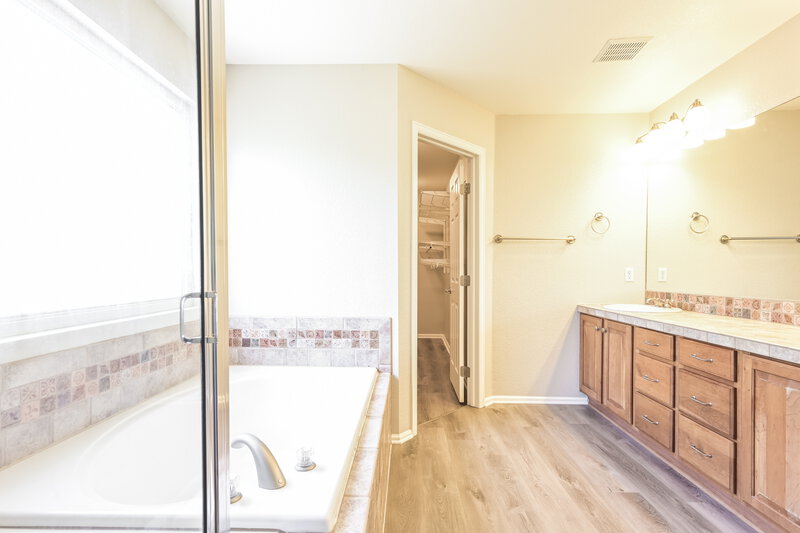3,500/Mo, 10307 Hadrian Ct Parker, CO 80134 Main Bathroom View