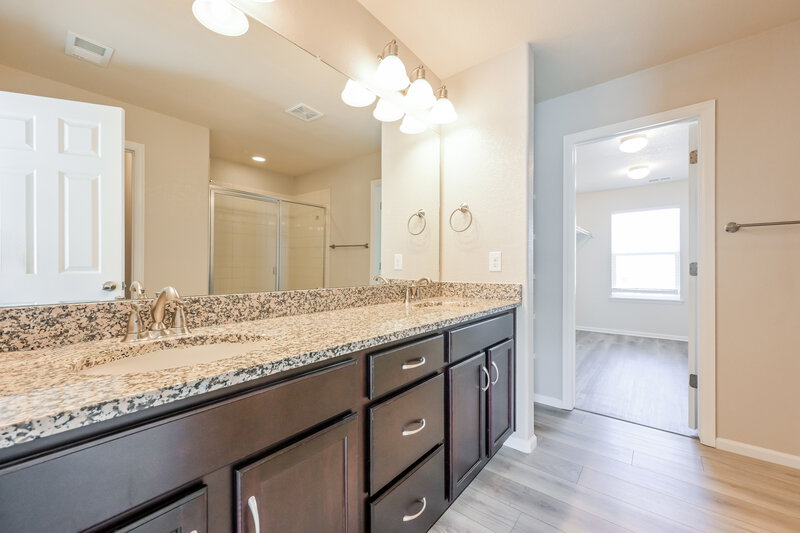 3,225/Mo, 1918 Cade Ave Castle Rock, CO 80104 Main Bathroom View