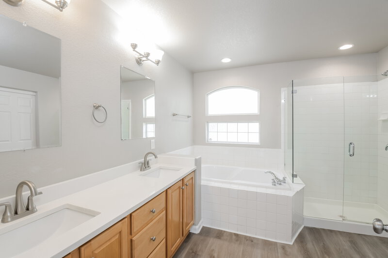 2,710/Mo, 19671 E 48th Pl Denver, CO 80249 Main Bathroom View