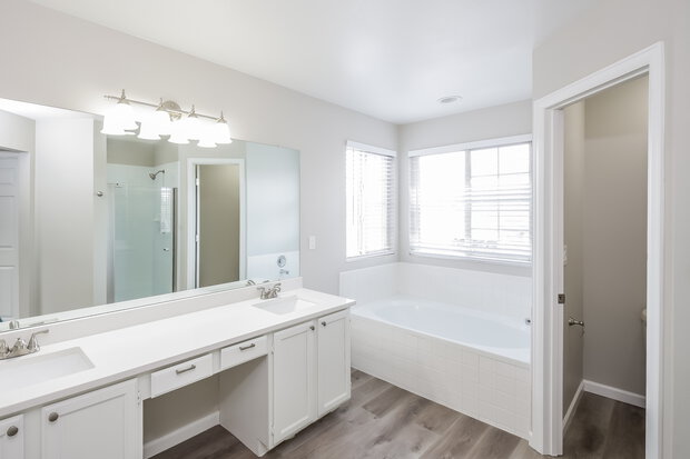 Main Bathroom View
