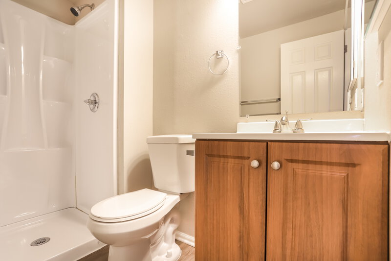 2,960/Mo, 8753 Snowbird Way Parker, CO 80134 Bathroom View