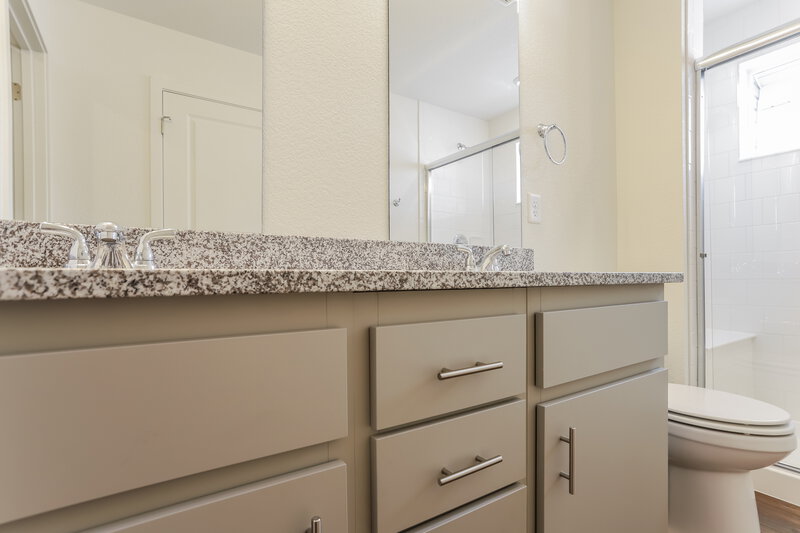 3,750/Mo, 18560 E. 47th Avenue Denver, CO 80249 Main Bathroom View