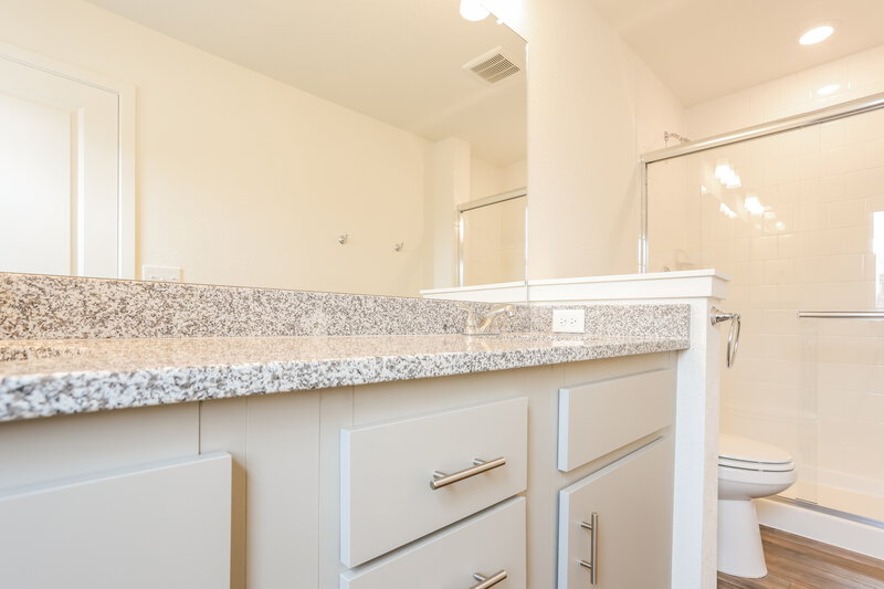 3,790/Mo, 18570 E. 47th Avenue Denver, CO 80249 Main Bathroom View