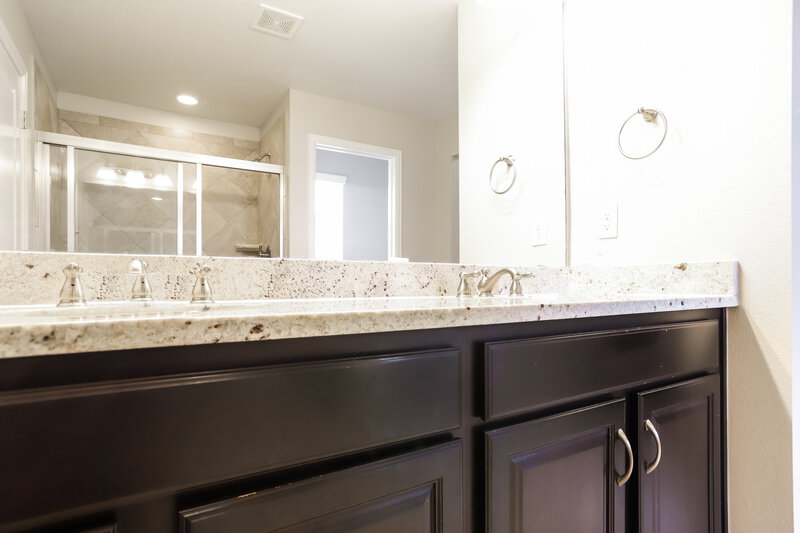 4,810/Mo, 7649 Blue Water Dr Castle Rock, CO 80108 Main Bathroom View