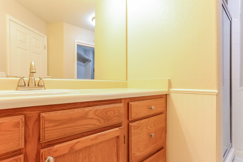 3,125/Mo, 19754 New Market Ct Parker, CO 80134 Main Bathroom View