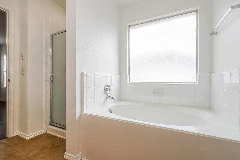 1,935/Mo, 16119 Chamomile Ct Houston, TX 77083 Main Bathroom View 2