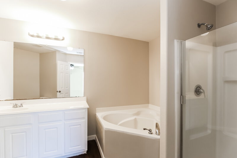 1,720/Mo, 4274 Medina River Loop Spring, TX 77386 Main Bathroom View