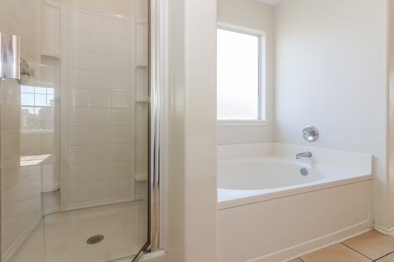 2,195/Mo, 3826 Rowlock Vine Dr Houston, TX 77084 Main Bathroom View 2